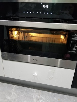 DAOGRS S1s嵌入式蒸烤箱怎么样好不好，最新使用评测