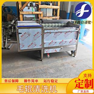 商用不锈钢全自动毛辊清洗机设备马铃薯清洗机芋头清洗机设备
