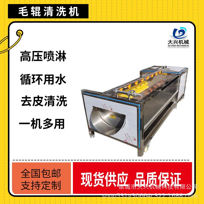 田螺去泥清洗机 滚动式毛辊清洗机 生蚝海蛎子清洗机设备