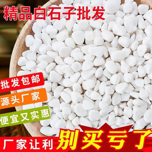 石子多鹅卵石雨花石小白栽培基质