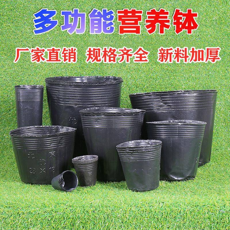 加厚营养钵育苗杯黑色果树育苗袋大号塑料一次性种植袋花盆