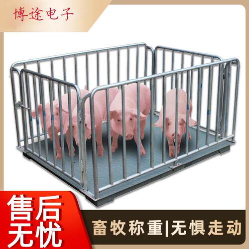 加厚牧养防殖场带围栏电子BT-XM1地磅1-3吨抖动子电磅秤猪羊牛动