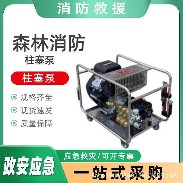 多用途森林消防柱塞泵手推式应急输水泵远程输送隔膜注塞泵