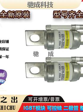 日之出250FH-20S 250FH-25S 250FH-30S新 保险丝诚信经营欢迎咨询