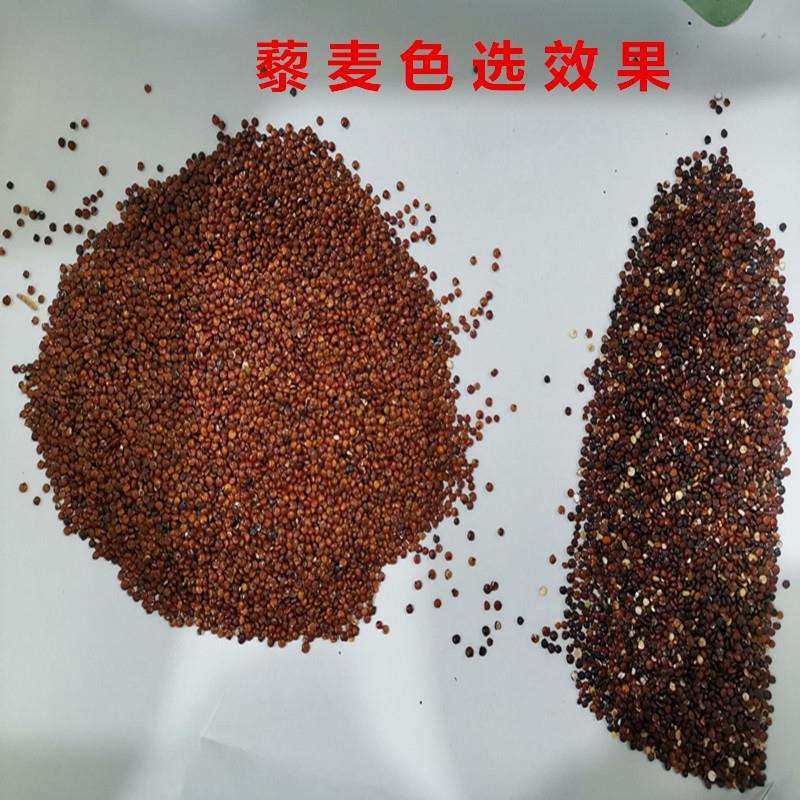 藜麦色选机黑麦杜伦麦色选机筱麦苦荞麦分选燕麦片色选机青稞精选