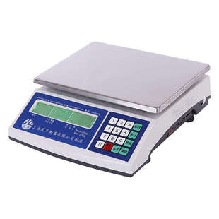 上海友声电子计重秤 BT-6000电子天平记重记数称计重计数称电子秤