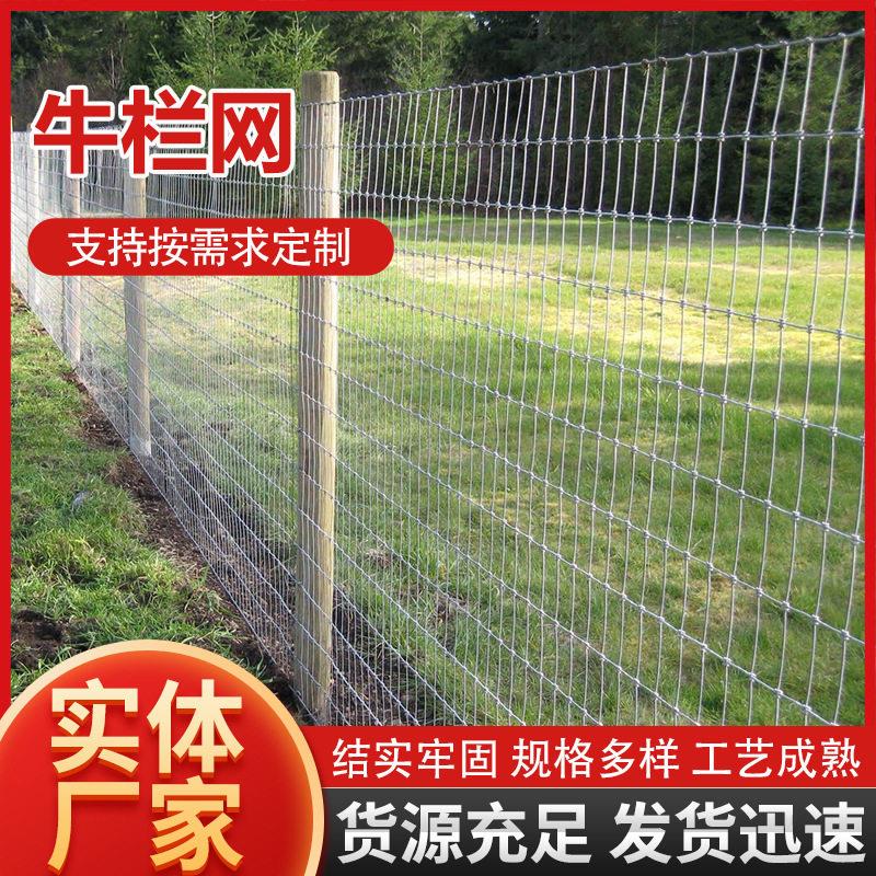养殖牛栏网铁丝围栏网养殖圈地果园围栏防攀爬防盗不锈钢草原围网
