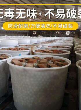 食酵品级塑水BPW桶全加厚牛筋周转桶无盖腌新菜料发圆桶胶桶
