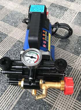 手提式打药机农用电动果树喷雾器12V48V60V220伏高压双缸柱塞药泵