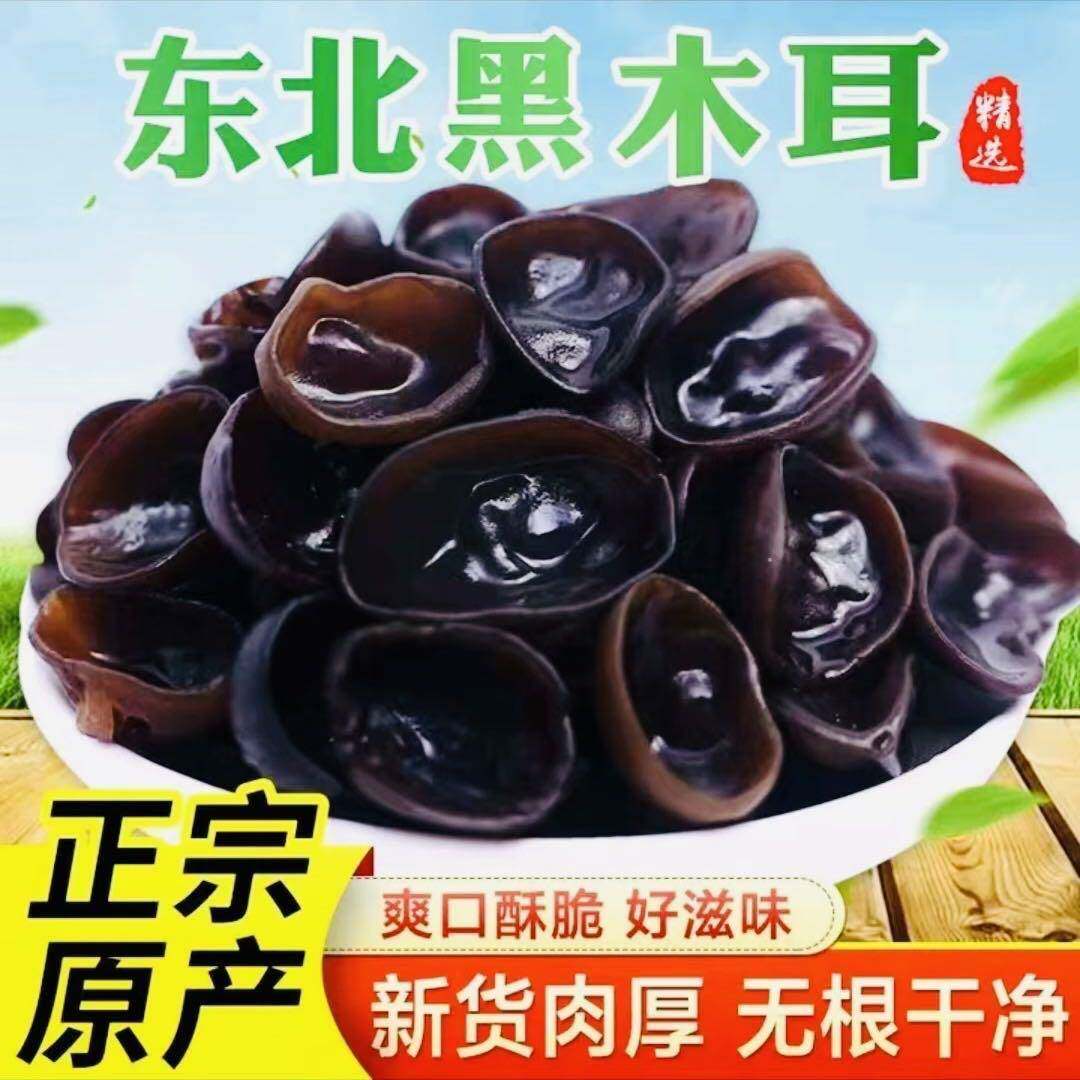 秋木耳东北今年头茬木耳肉厚无根干木耳小碗耳头厚实干净美味肉质