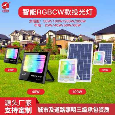 RGB太阳能投光灯定制七彩太阳能灯户外庭院灯泛光灯太阳能投光灯