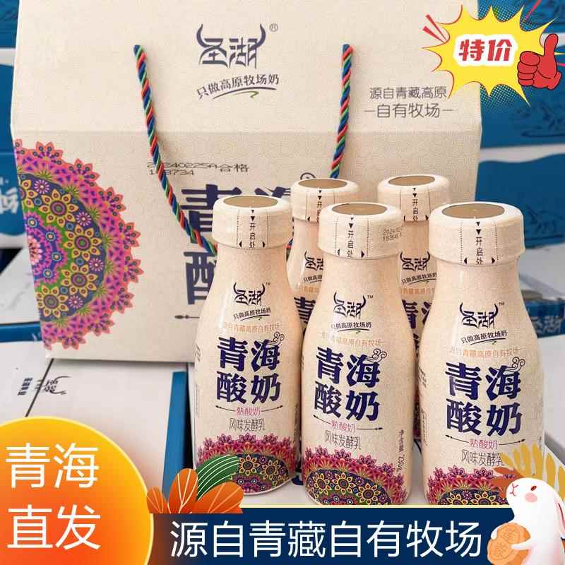 青海酸奶青海特产高原风味发酵乳熟酸奶游牧风味褐色瓶装酸奶