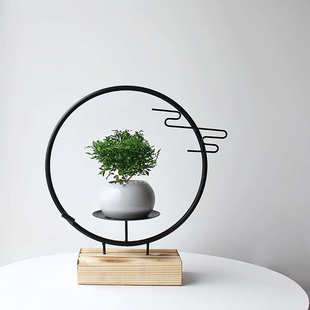 夏洛特花园 达摩九里香 中国风盆景 室内绿植花卉 创意 乔迁礼物