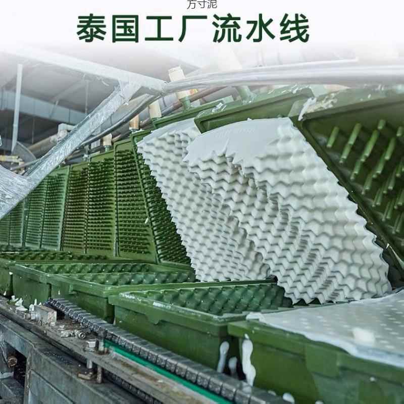乳胶头护保逊健源枕一对成人枕芯家用枕头工厂一件亚QePqj6R3马源
