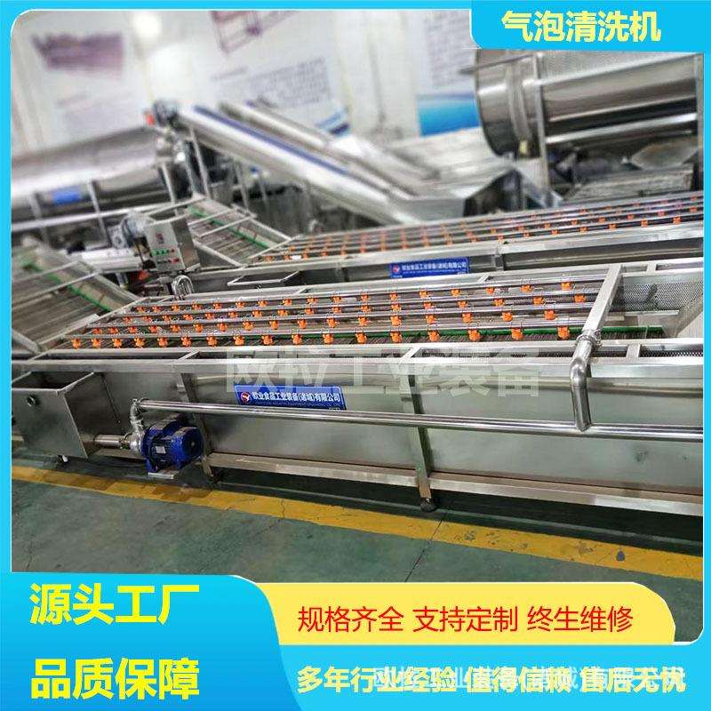 板蓝根空心菜清洗流水线 香菇清洗加工设备 源头厂家秋葵清洗机