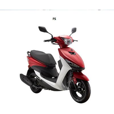 CNSY三阳飞鹰赛格林海格格FS110T-5摩托车全车外壳车壳灯具前泥板