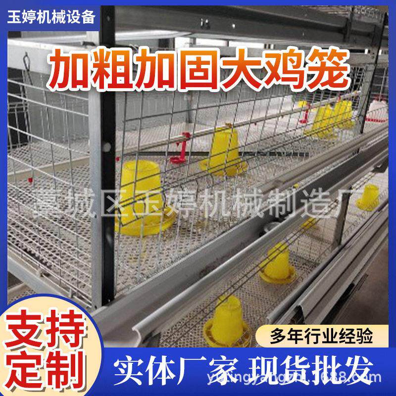 热镀锌鸡笼养殖场鸡笼设备热镀锌鸡笼价格便宜不生锈产品质量过关