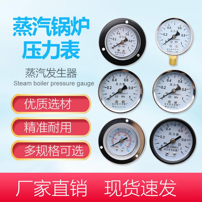 锅炉压力表电加热蒸汽锅炉压力表带边压力表气蒸汽发生器压力表