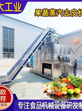果蔬蒸汽去皮机芋头黄姜脱皮设备全自动商用食品级源头工厂