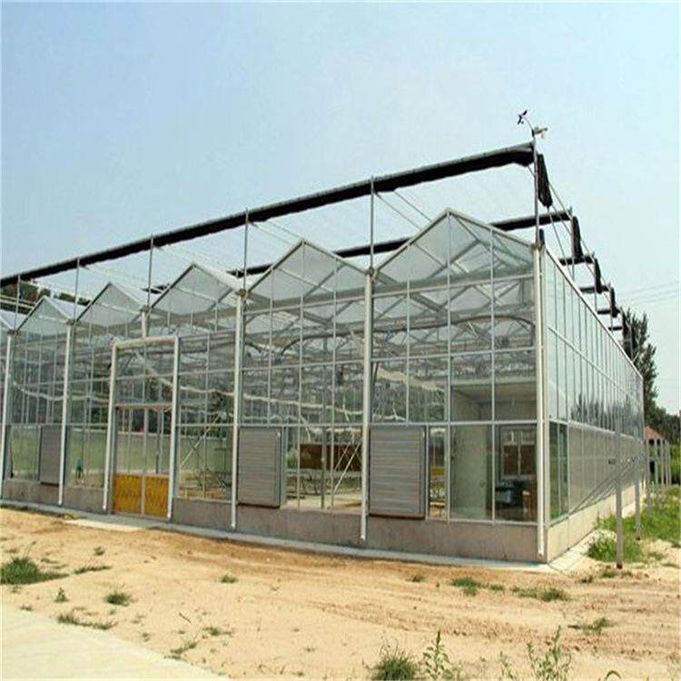 山东设计建造玻璃温室施工现场种植草莓蓝莓大棚透光性好工程