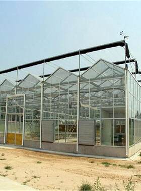 山东设计建造玻璃温室施工现场种植草莓蓝莓大棚透光性好工程