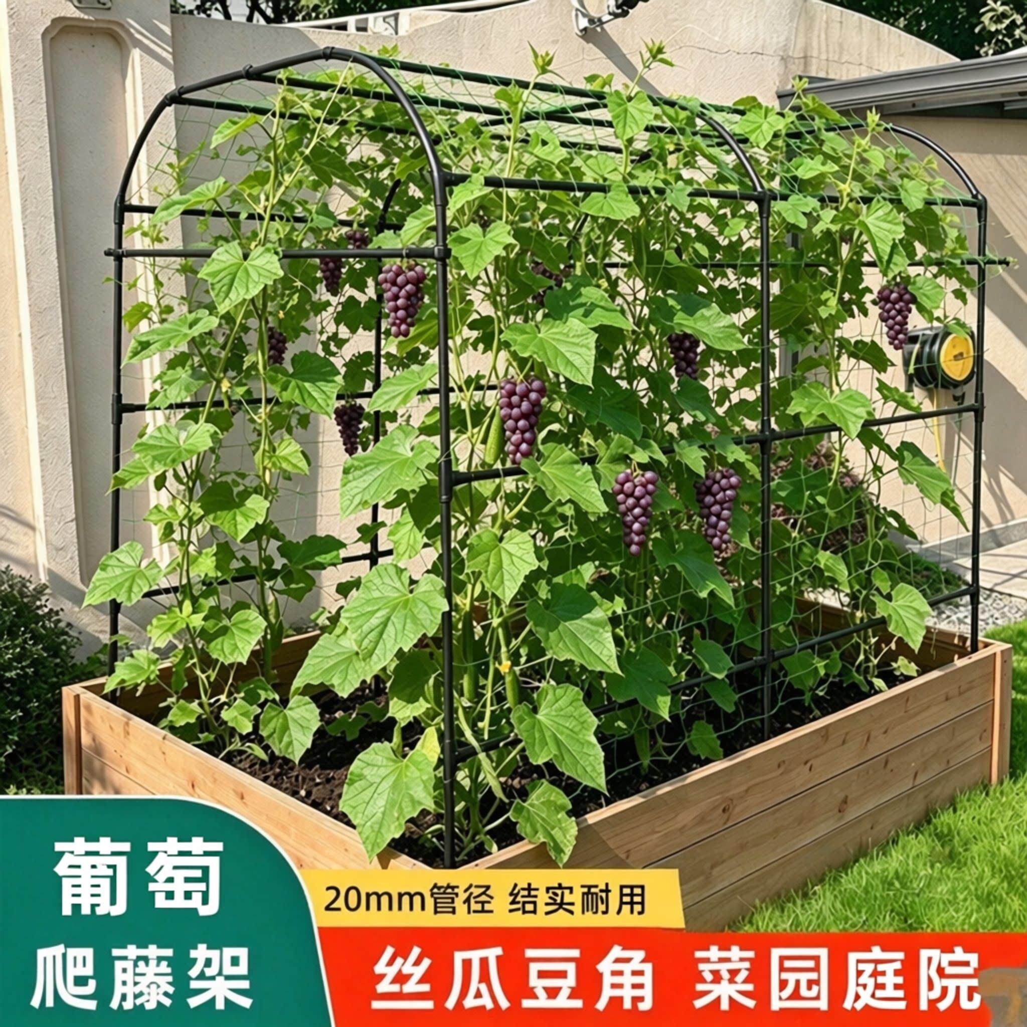 庭院葡萄专用架菜园易安装爬藤架豆角丝瓜支架园艺攀爬架子不占地