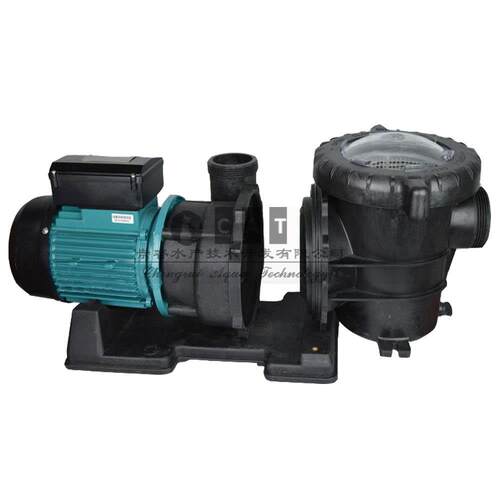 水产养殖海水款大流量泳池海鲜池水处理循环过滤水泵自吸泵
