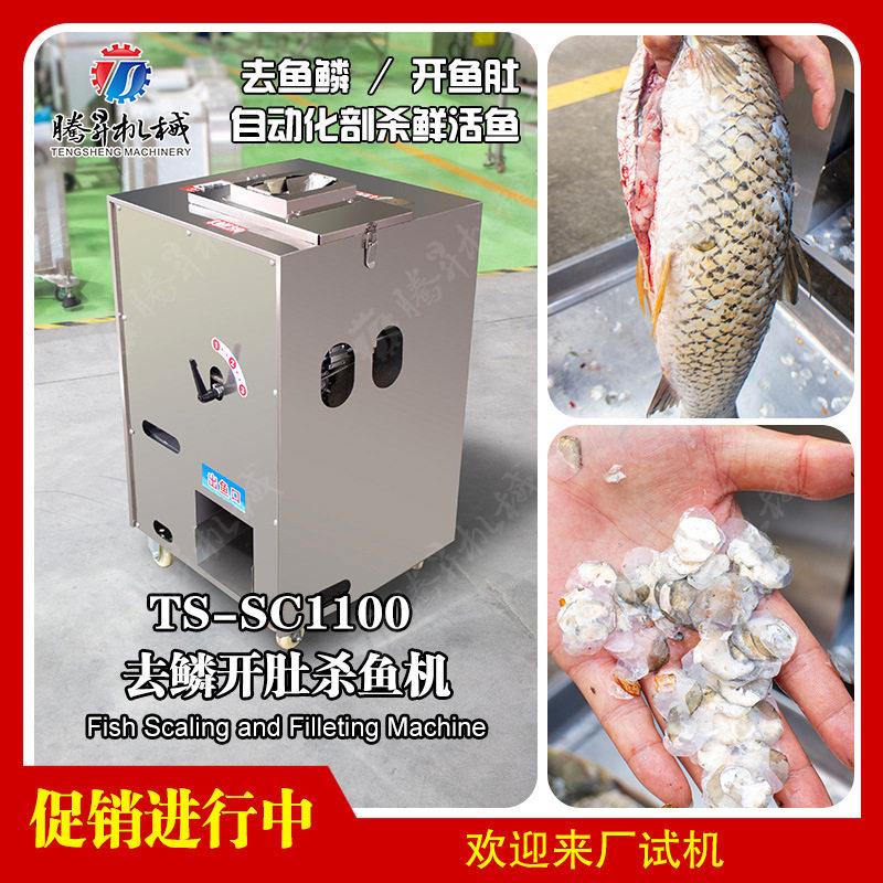 鲜活鱼剖杀设备家用商用杀鱼机全自动鱼类剖杀开肚设备