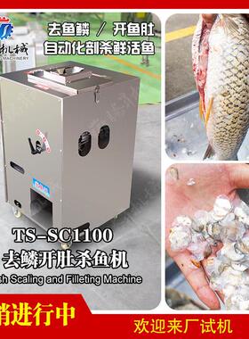 鲜活鱼剖杀设备家用商用杀鱼机全自动鱼类剖杀开肚设备