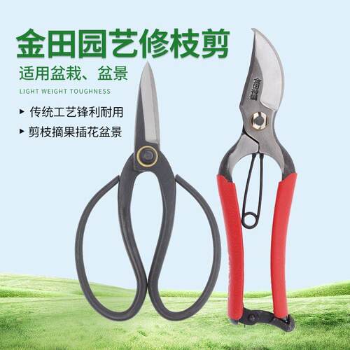 剪刀金田园艺剪刀修枝剪插花剪刀盆栽剪刀盆景剪刀工具剪枝剪刀