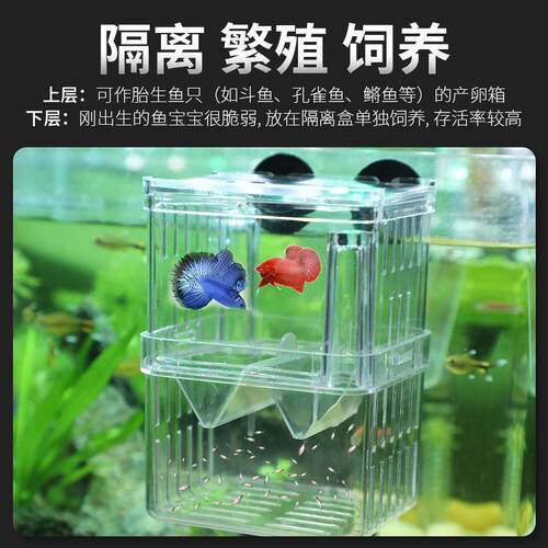 亚克力孔雀繁殖鱼缸隔离孵化器