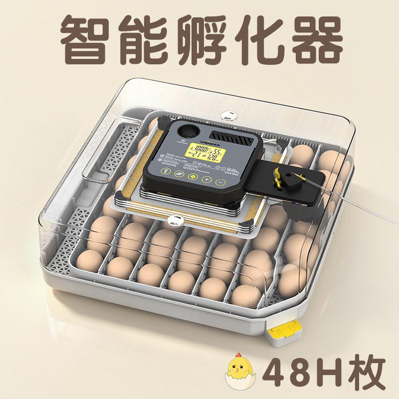 HHD小型孵化设备家禽孵化机鸽子鹌鹑48枚鸡蛋孵化器机械智能温控
