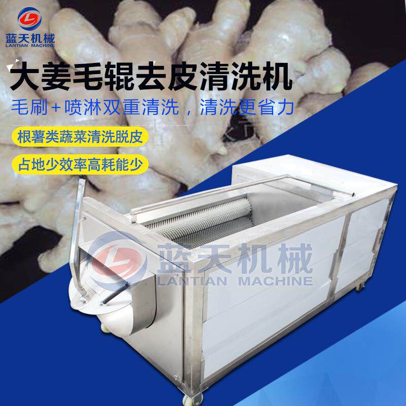 大姜毛辊去皮清洗机 不锈钢生姜去皮清洗机 黄姜毛刷清洗设备
