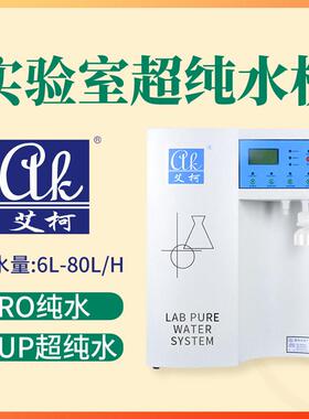 原子吸收光谱（AAS）实验专用超纯水机60L/H艾柯Discover系列