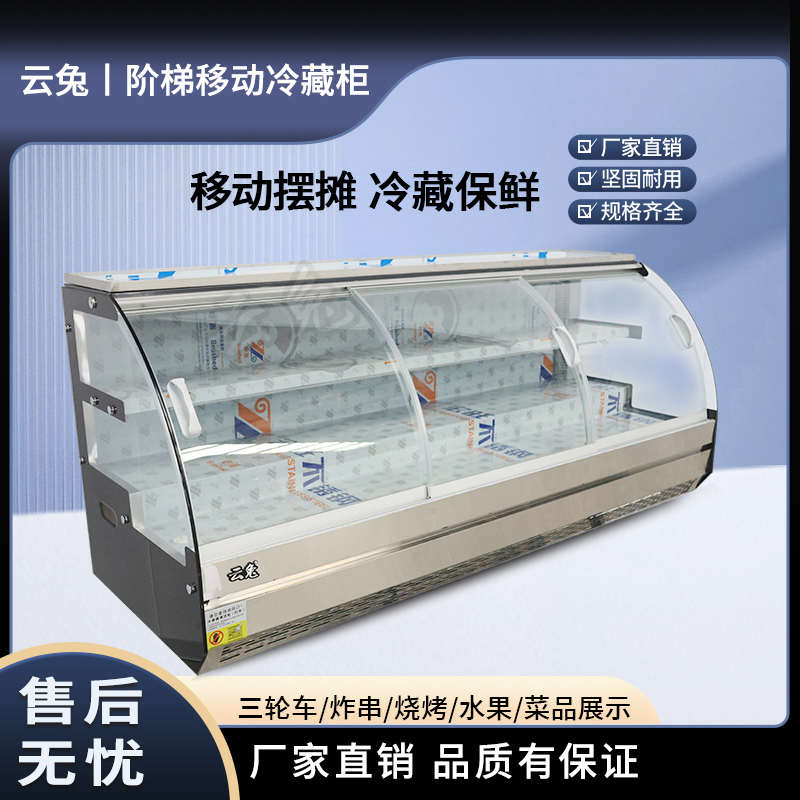 串烧冰柜摆摊冷藏烤云点菜炸冷冻保鲜兔新款展示柜移动三层三轮车