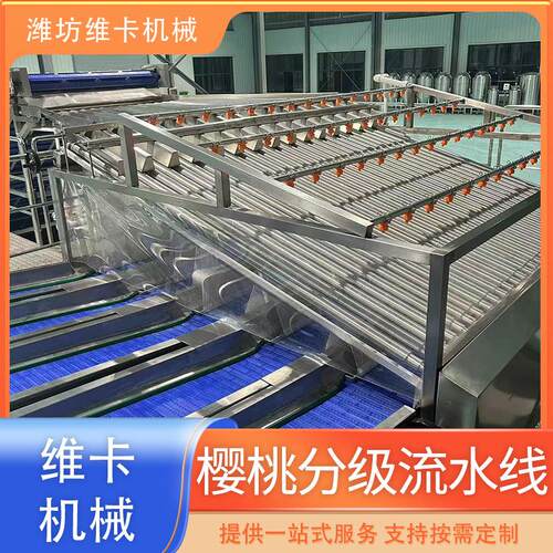 樱桃预冷清洗分选线 车厘子选果机 大型水果分级设备线