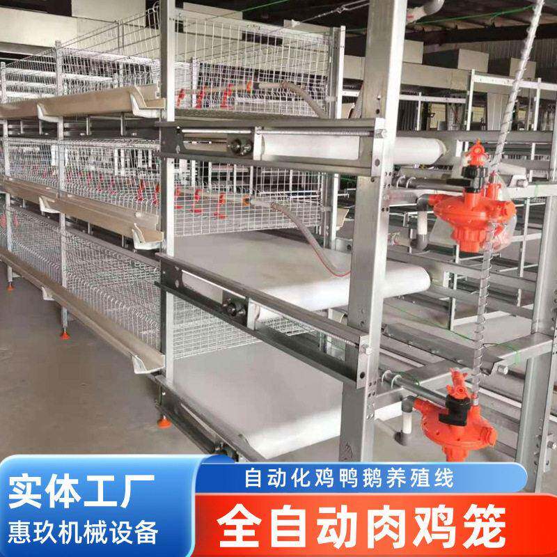 养殖场用养鸡全自动喂料肉鸡笼自动化鸡鸭鹅养殖线养鸡设备厂家