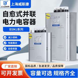 威斯康补偿并联电力电容器BSMJ0.45-20-3 0.4-30-3 40 15Kvar
