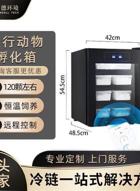 爬宠孵化箱乌龟孵化机蜥蜴孵化器守宫恒温箱蛇类冬化箱孵化柜智能