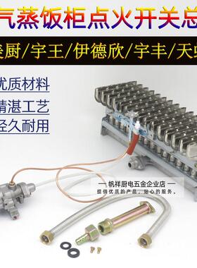 液化气蒸箱蒸气机蒸车蒸饭柜点火器总承燃气阀自熄火保护装置配件