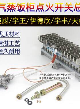 液化气蒸箱蒸气机蒸车蒸饭柜点火器总承燃气阀自熄火保护装置配件