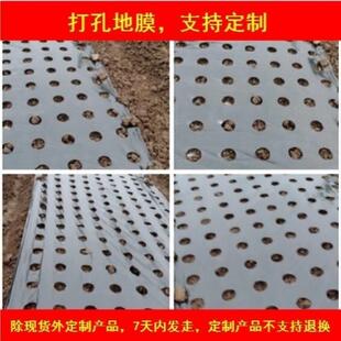 打孔地膜农用种植防草菜地玉米地钻孔带孔薄膜黑膜银黑地膜免打孔