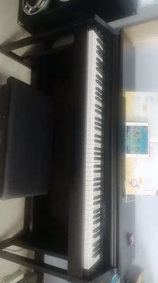 如何评价TheONE和卡西欧电钢琴比，应该选择谁呢？