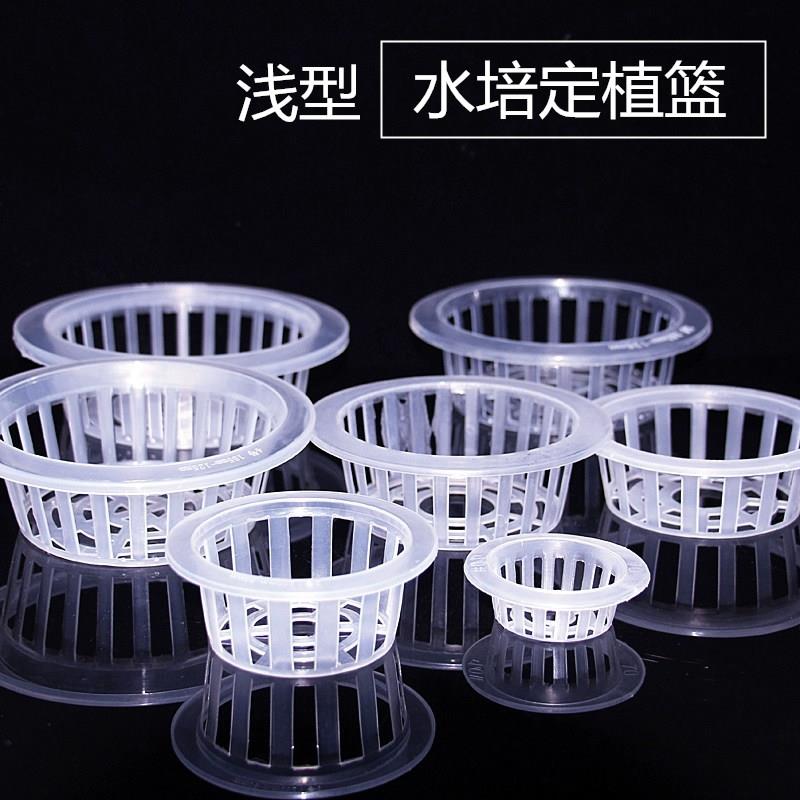 水培固定器器皿定植蓝花盆定植篮绿萝植物固根器玻璃瓶定植篮$$
