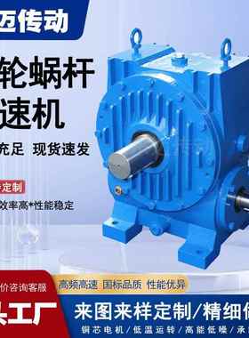 WD120型蜗轮减速机吊机立式起重用减速器WS150系列圆柱蜗杆减速机