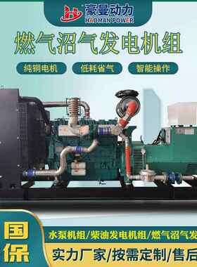 250KW天燃气发电机300kw 500kw 600kw800KVA1000千瓦沼气发电机组