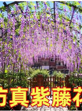 网红小院造景布置庭院花园农家乐农村民宿阳台休闲区院子户外装饰