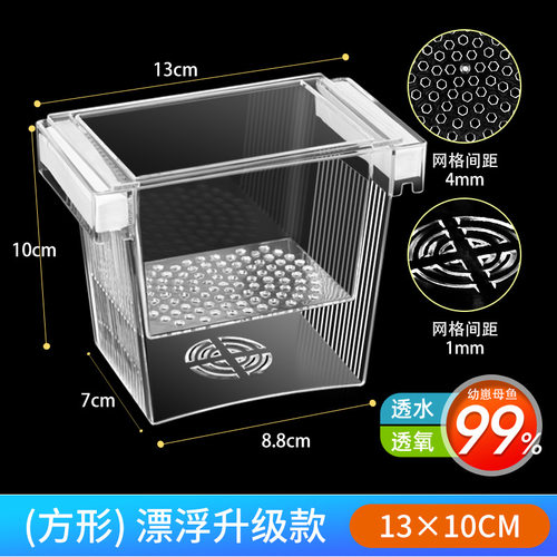 斑马鱼鱼缸鱼缸孵化孔雀孵化器