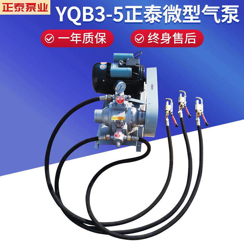 YQB3-5微型气泵小型液化气泵倒气泵冲装导气泵钢瓶导气泵