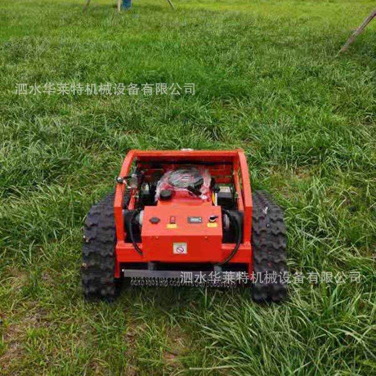苗圃杂草修剪机 小型遥控割草机 河滩荒地草丛灌木丛履带割草机